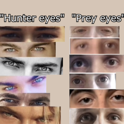 Hunter eye.