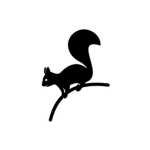 Squirrel Studio [SS]
