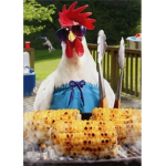 La Team Poulet KFC