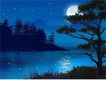 Warrior Cats, Iceclan