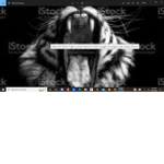 DONTBLINK GROUP