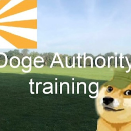 Doge Authority Training