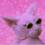 P i n k P a r t y