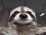 Gemmy wemmy support clan