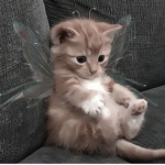 Sky's Friend Group