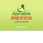 Avocado Farm