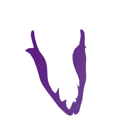 Purple Blaster Jaw No Outline