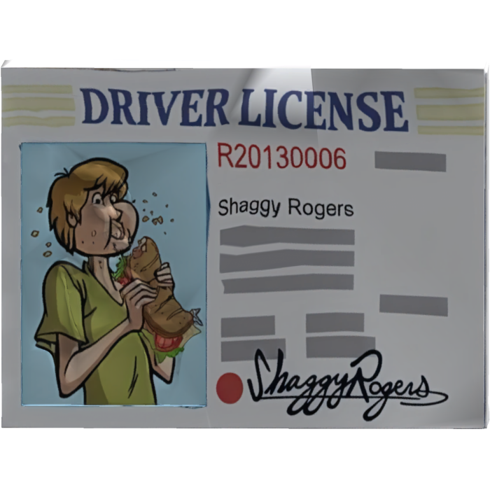 Shaggy's Driver's License Scooby Doo