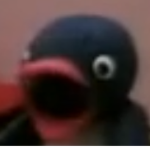 Pingu's club