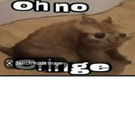 Oh no……cringe ;-;