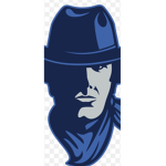 The cowboys fan ONLY