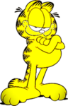 LASAGNA ORANGE CAT