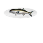 Fish on a Dish