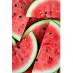 ~watermelom army~