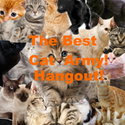 The Best Cat Army hangout