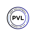 Blue Fire Roblox Group