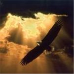 avians