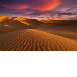 Desert Run [Hard]