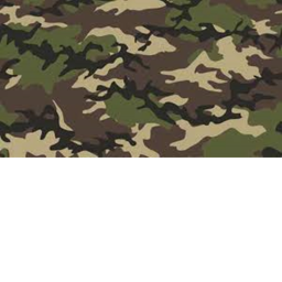 Fort Chelsea | USMC |