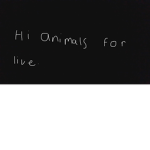 animals for live