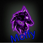 Molfy crew