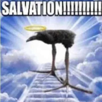 [///////////////////////////////////]