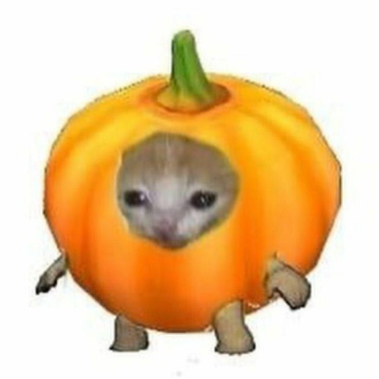 Cat in pumpkin suit Roblox decal