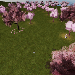 Sakura Tree Hangout + with cat and cafes !! :D