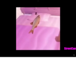 The fish gang! [PINK!]