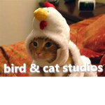 bird and cat studios