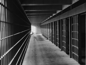 Criminal Life
