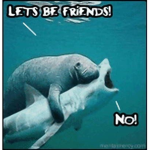 Sharkz:)
