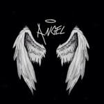 Evil Angel$