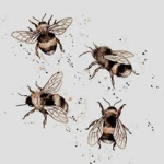 ..Honeybees..