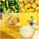 Lemon slices