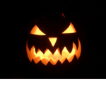 Pumkin Patch Army