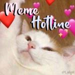 Meme Hotline