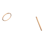 Earring Hoops