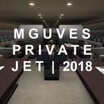 Mguve's Private Jet | 2018