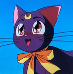 Blue cat•