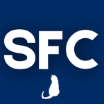 San Francisco Creative