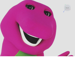 Barney error
