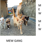 MEW GANG