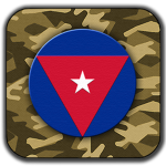 Communist Cuban Revolutionary Airforce