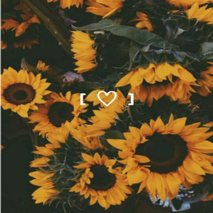 heart sunflowers Roblox decal