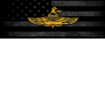 Recon Assault Force (REA)