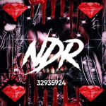 +.NDR