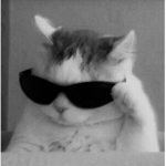 Cat Army>:)
