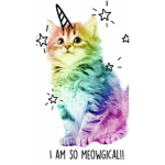 Unicorn cats!
