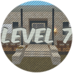 Level 7